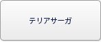 テリアサーガ(Teria Saga) RMT